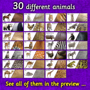 Animal Skin Fur Montessori Activity