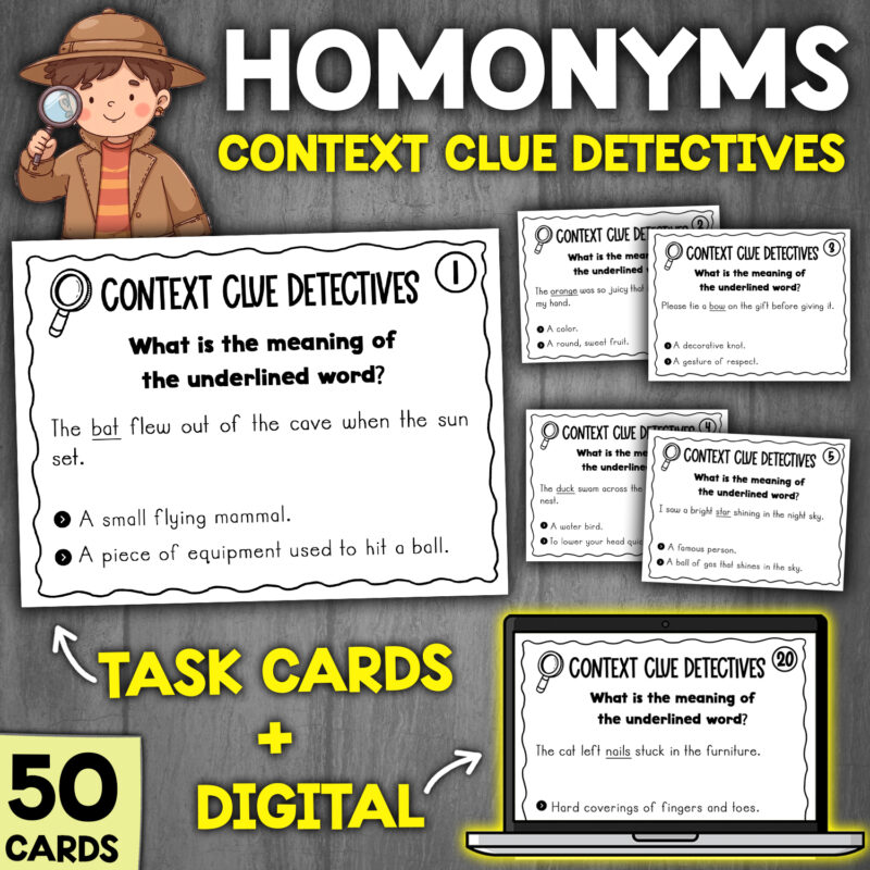 Homonyms Activity for Grade 2 and 3 | Task Cards