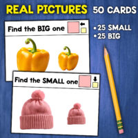 Big and Small Sorting Activity for Special Education