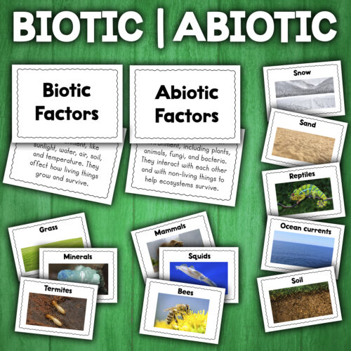 Biotic and Abiotic Factors Activity
