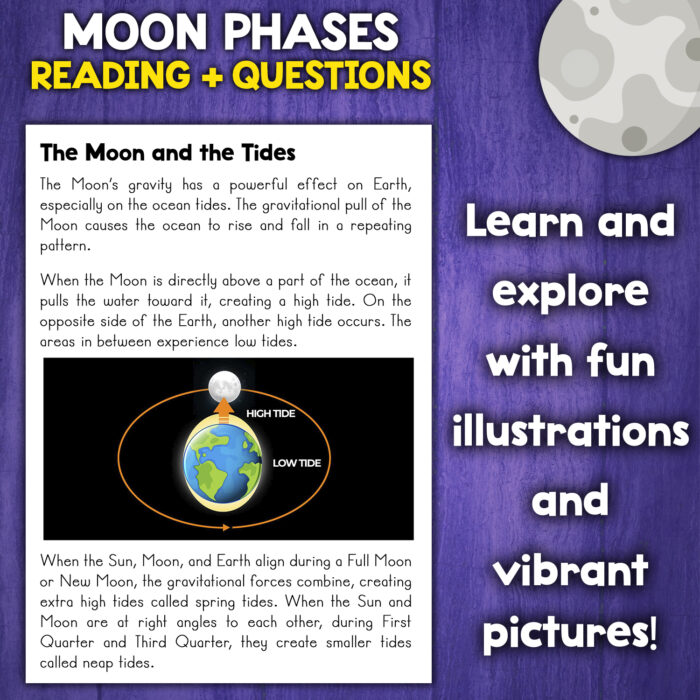 Phases Of The Moon Activity For Kids