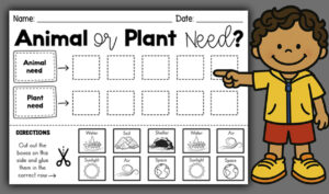 Animal Plant Needs Worksheet