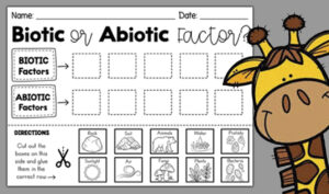 Biotic And Abiotic Factors Worksheet