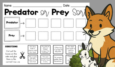 Predator And Prey Worksheet Sorting Activity