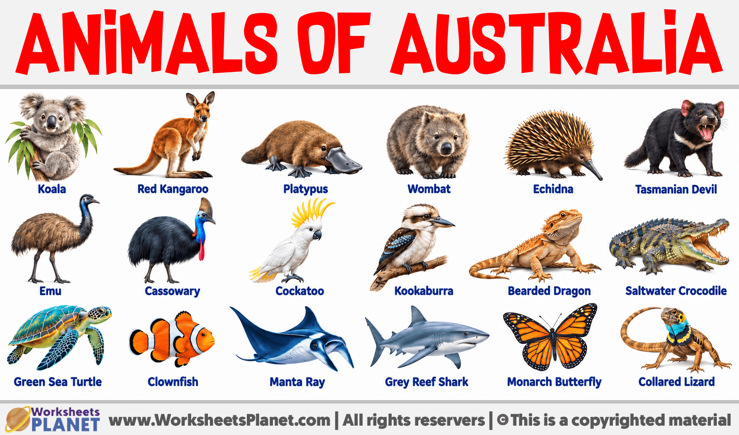 Infographic about Animals of Australia