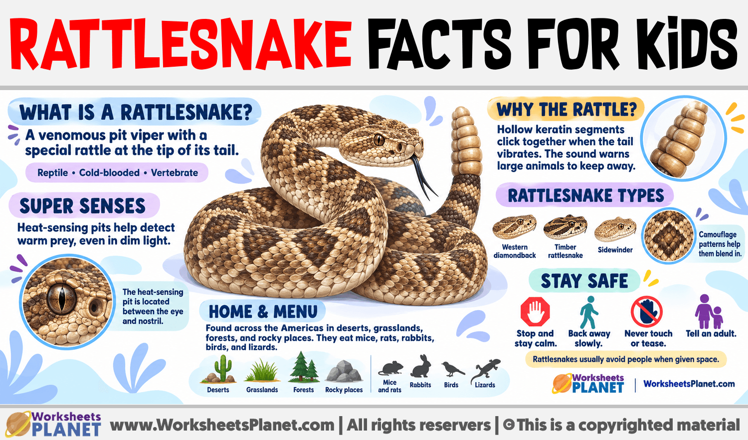 Rattlesnake Facts for Kids Infographic about Rattlesnake Facts for Kids