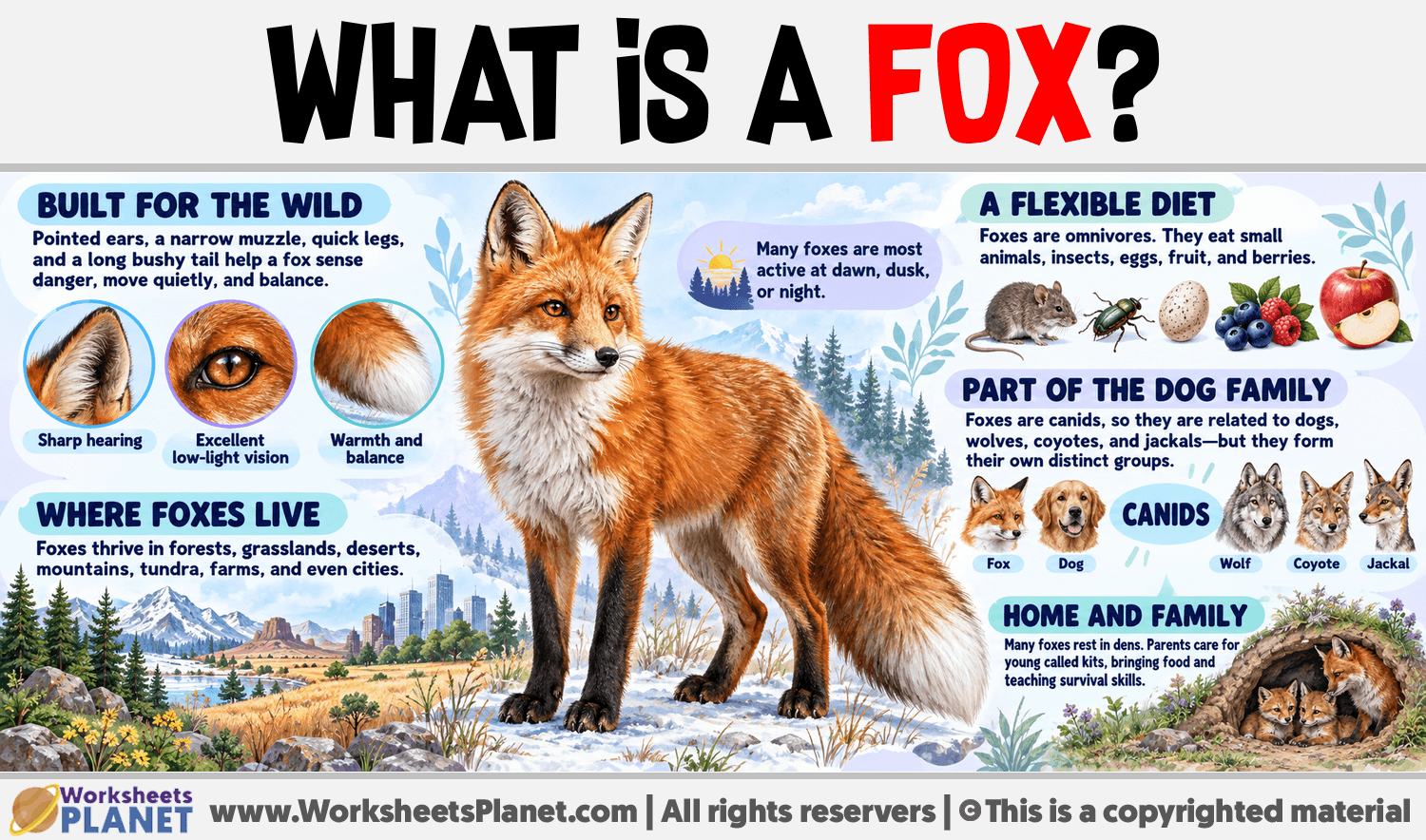 What is a Fox? Infographic about What is a Fox?